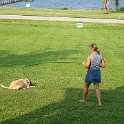 Picture 018